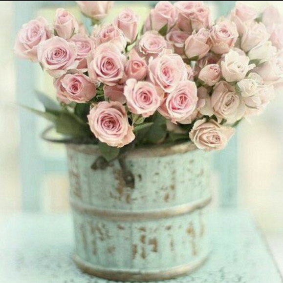 🆕️arrivals for November 2025🙋🏼Drop by and Shop! - Picture 4 of 11